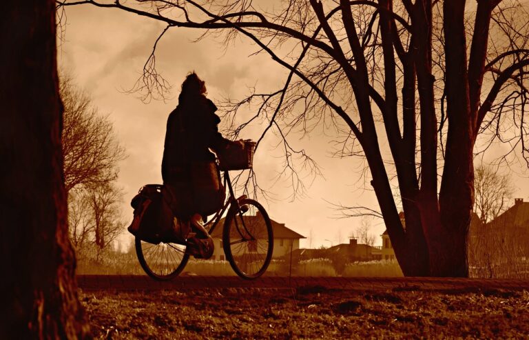 cyclist, cycling, bicycle-4857820.jpg